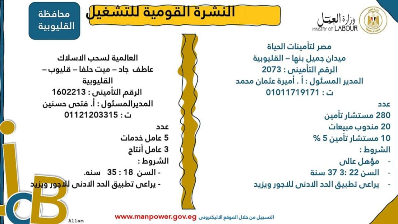 مصر لتأمينات الحياة